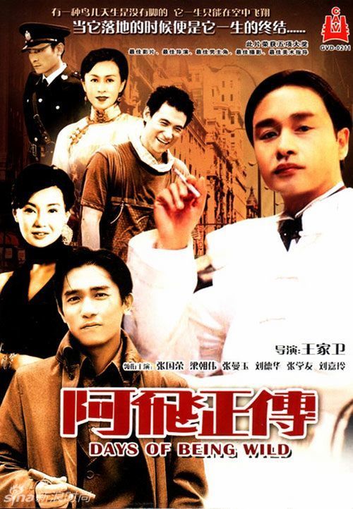 玛丽伯勒 Maryborough）驾驶证办理
